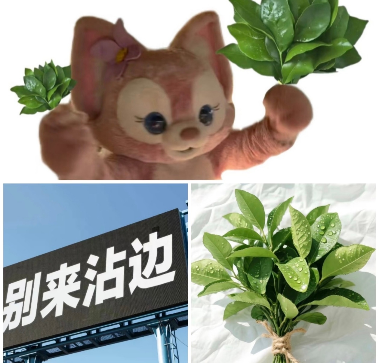 华鼎奖是什么 野鸡奖别来沾边，飞舞就是这样，营销野鸡奖也得捆绑别人 ​​​