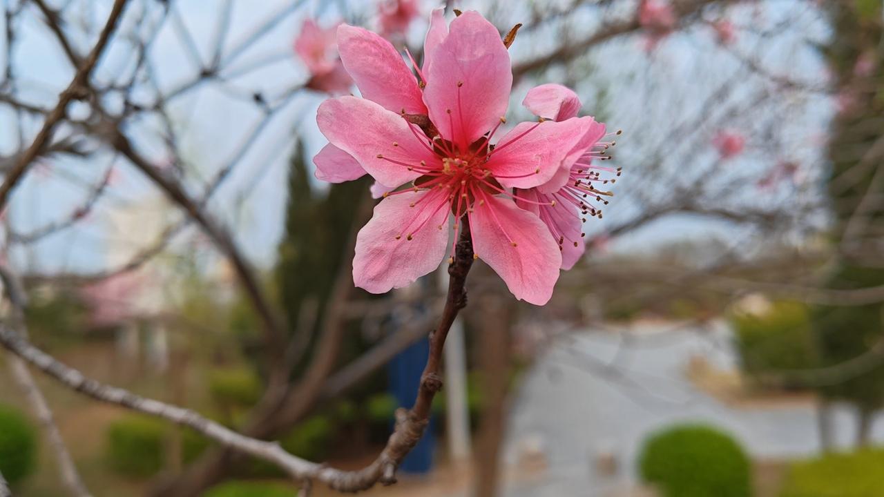 性学专家李银河：“终有一天你会明白，嫁人或娶妻不是看这个男人多有钱，也不是看这个