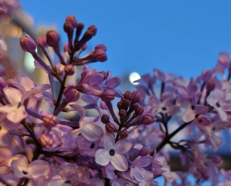 【总把别人的评价当作衡量自己的标准，夸一句就飘，批评一句就垮，相当于把情绪的开关