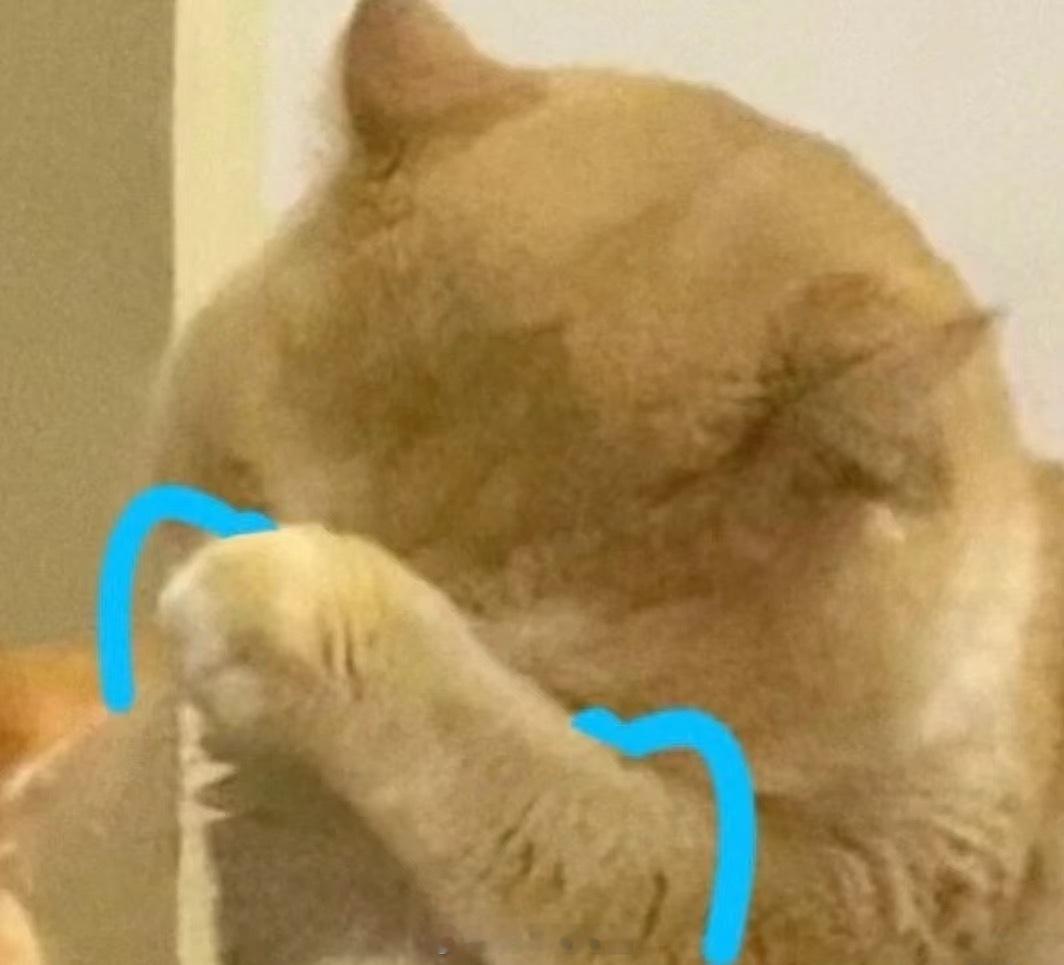 人最大的教养是能接受父母的平凡不能踩着父母的肩膀看过世界以后，又觉得他们过于平庸