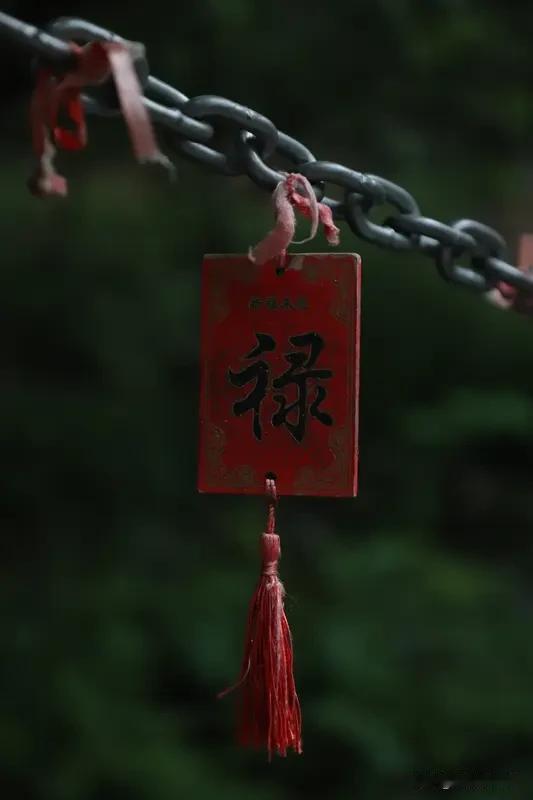 今天随手抽了个幸运签，上面写着“财运亨通”。这可把我乐坏了，感觉马上就要走上人生