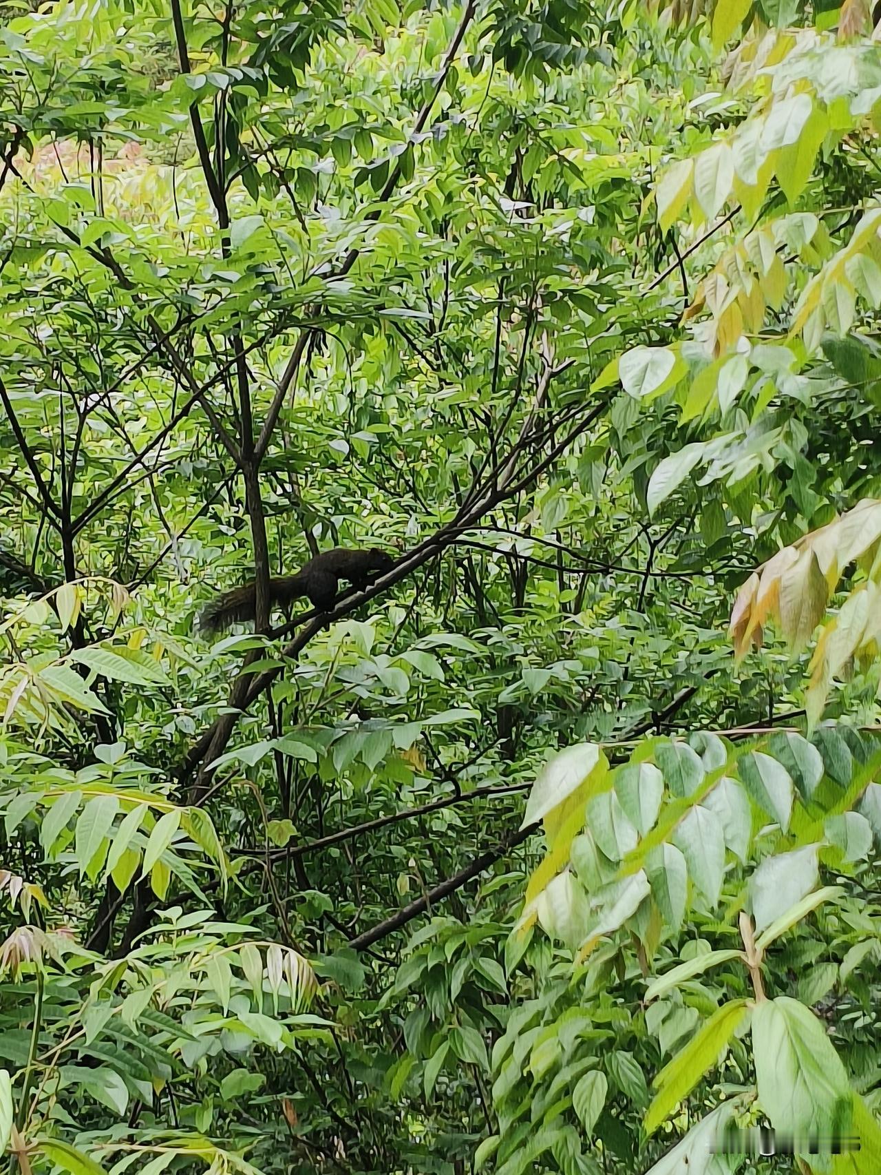 果实正在悄悄饱满，酝酿一整个春天的甜，迎着暖风悄然生长，一点点变得丰盈。