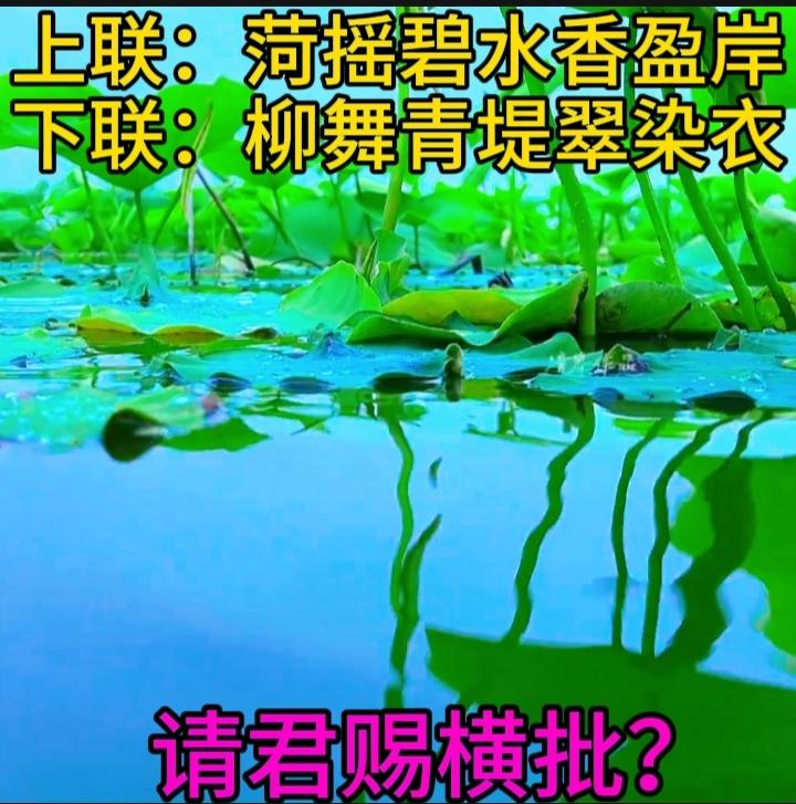 上联：荷摇碧水香盈岸，邀君赐下联下联：柳舞青堤翠染衣