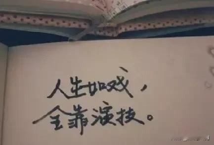 人生如戏，全靠演技，人到中年才慢慢深切体味到这句话的意思。
     刚结婚那年