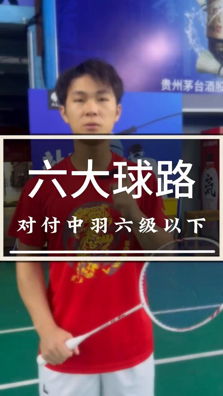 六大球路。
对付中羽六级以下最邪恶的六个球路。
·球路一：单数区发内角，抓推球，