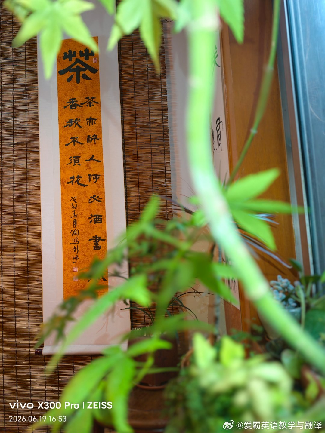 一茶，一花，一院，一斜阳。 