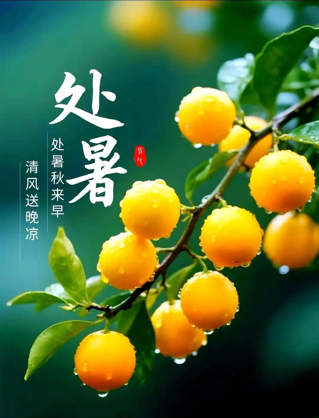 处暑别乱贴秋膘！先清后润养脾胃，一步错整个秋天都遭罪有没有人处暑这几天浑身别扭？