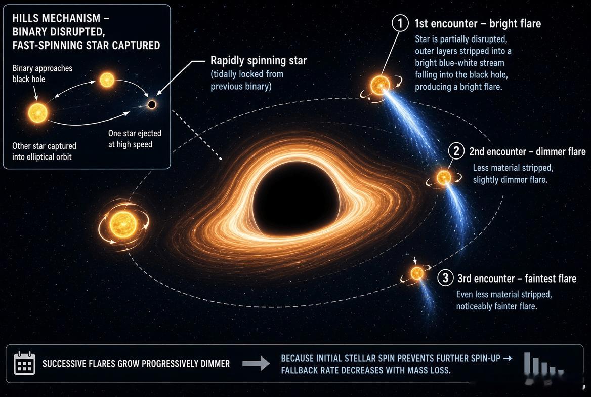 为什么有些恒星不断挑逗黑洞——而它们的烟火为何越来越安静在大多数星系的中心深处，