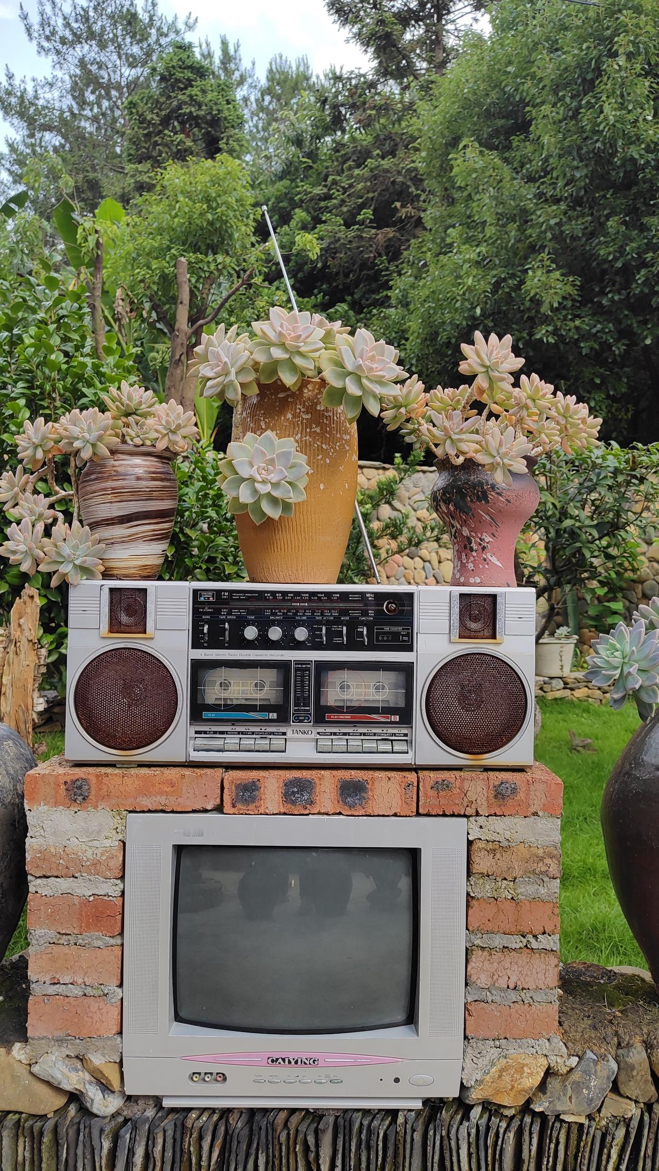 广东河源和平县阳明镇均联村一个村民家的小院，这样的乡村小院你还会觉得穷吗？还会嫌