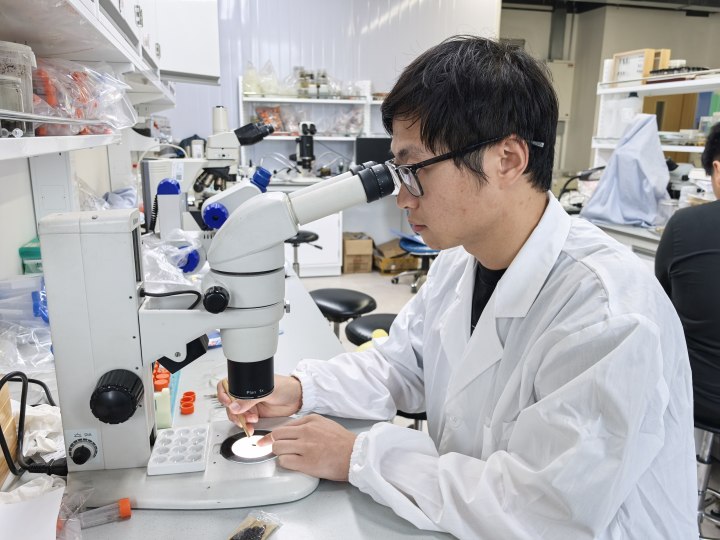 80后、90后起立！这样的水虫子你们小时候叫什么？权威SCI期刊发文衢州发现新物种“烂柯刻翅龙虱”
