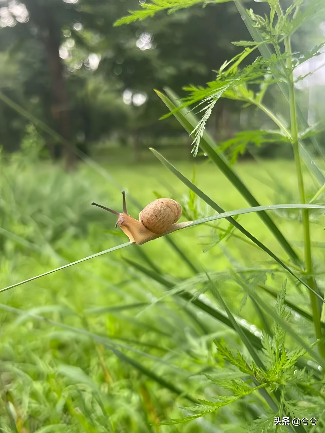 人这一辈子
有人说：
活着，
谁不苦？
只不过，
有人把苦藏进心里，
有人把苦挂