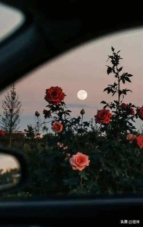 只有破局者才懂的残酷真相：
天天拼勤奋的人，
一生都在为别人的认知买单。
顶层玩