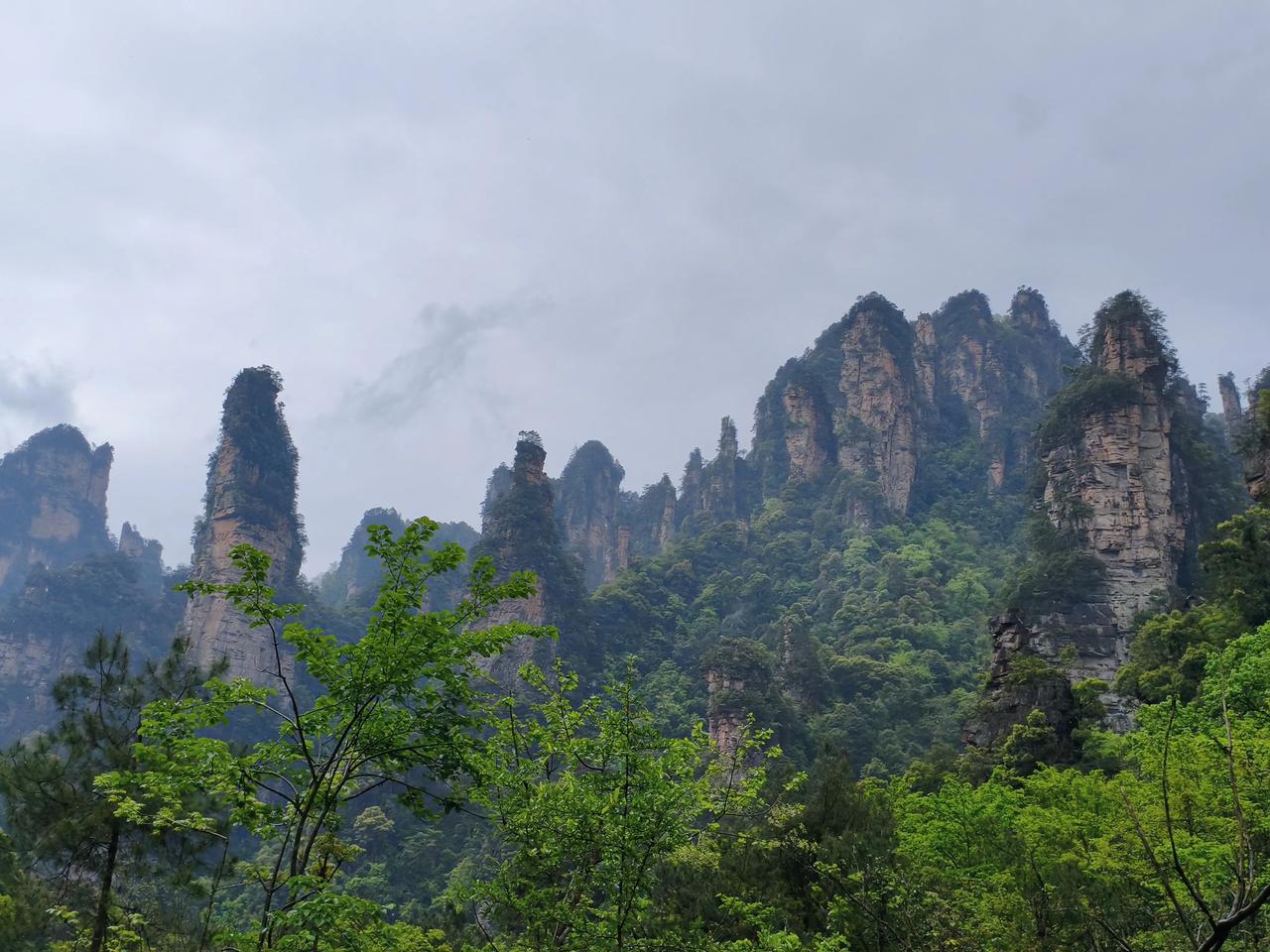早上七点，到张家界国家森林公园东门(也叫标志门)，进入景区后坐景区环保车到百龙天