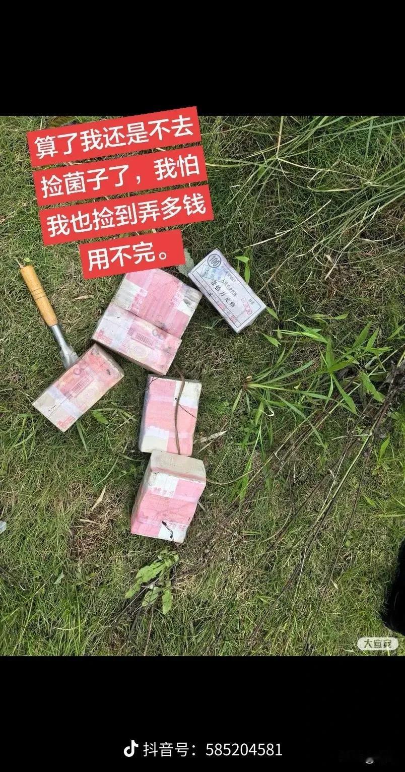 市民挖菌子挖出“六十万现金”，男子不敢独享立即报警，结果调查后的真相让人大跌眼镜