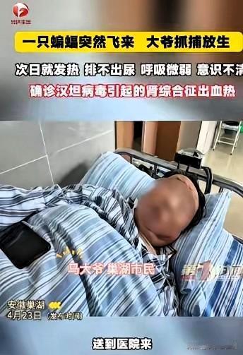 “悲剧还是发生了！”近日，安徽巢湖，一位大爷发现家中进了只蝙蝠，他伸手就去抓，可