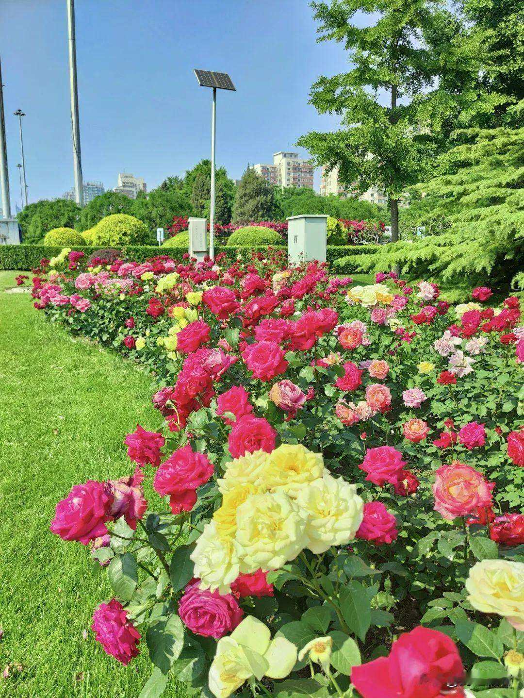 北京今天一如既往的高温天气，户外活动注意遮阳防晒。

5月14日，白天晴间多云，