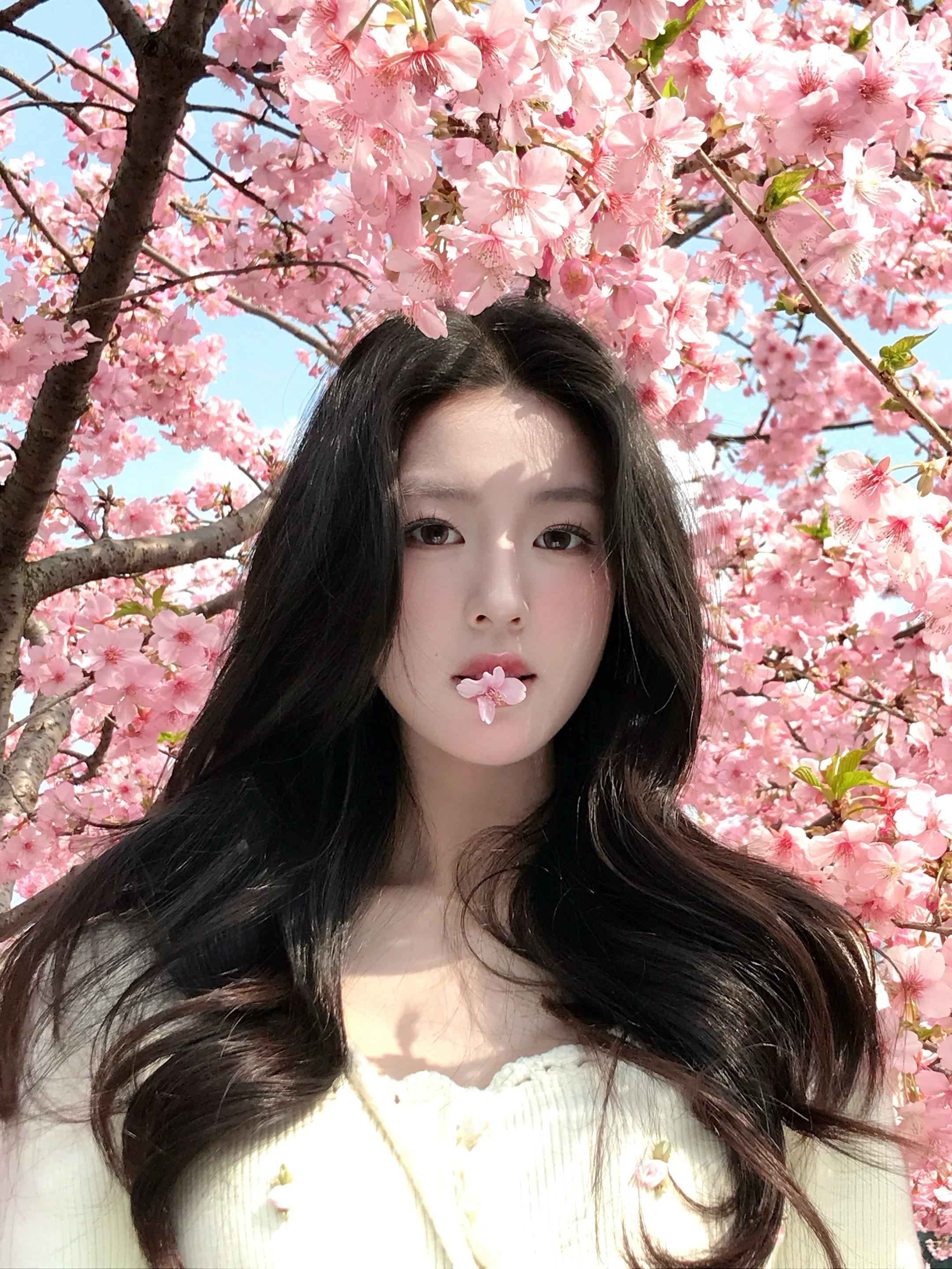 樱花树下谁站都美~