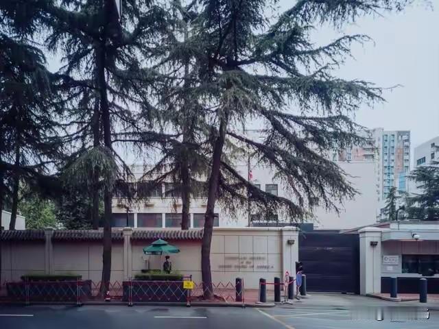 持刀闯馆，街头撞人，殴打滋事，日本5年违反刑法案件增至77.4万件，中使馆为何还