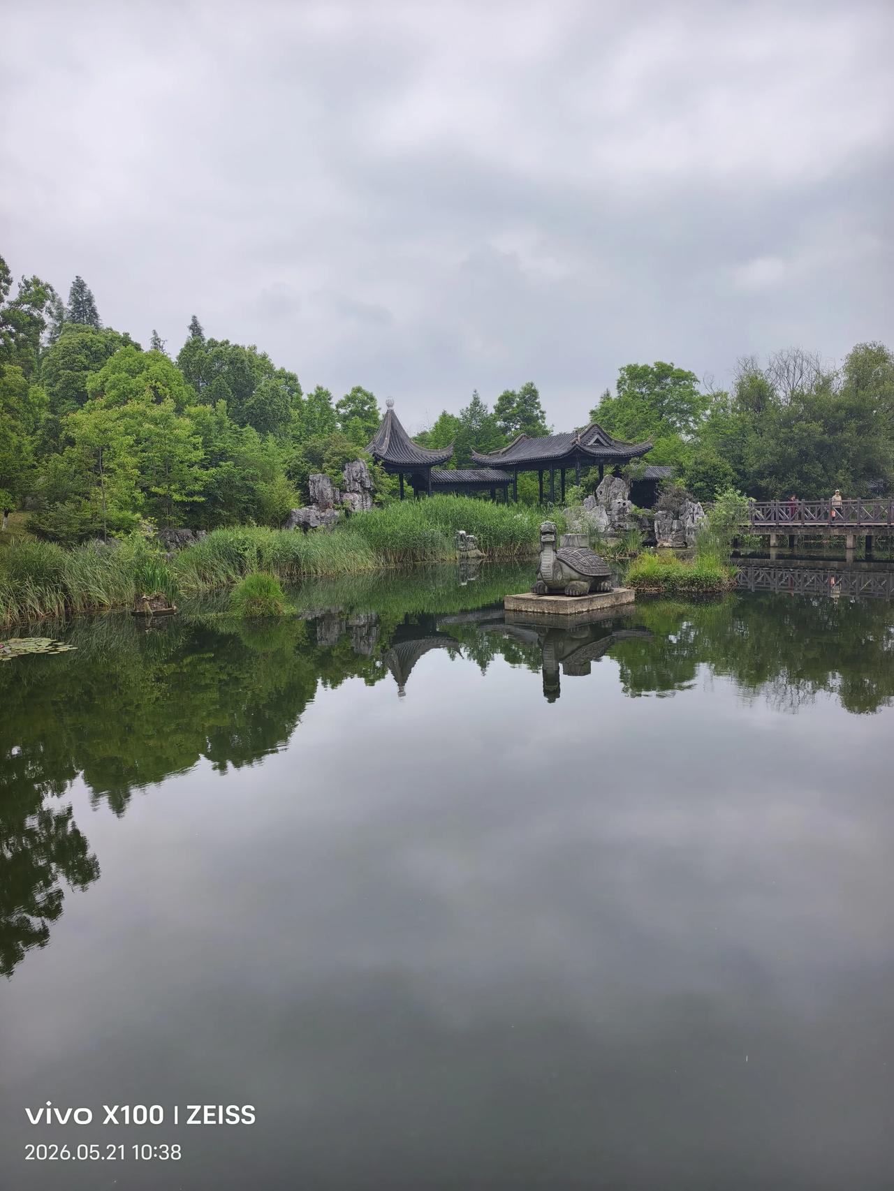 随手拍下初夏美景初夏的风掠过团氿湖面，把江南园林的温柔都揉进了这方倒影里。
随手