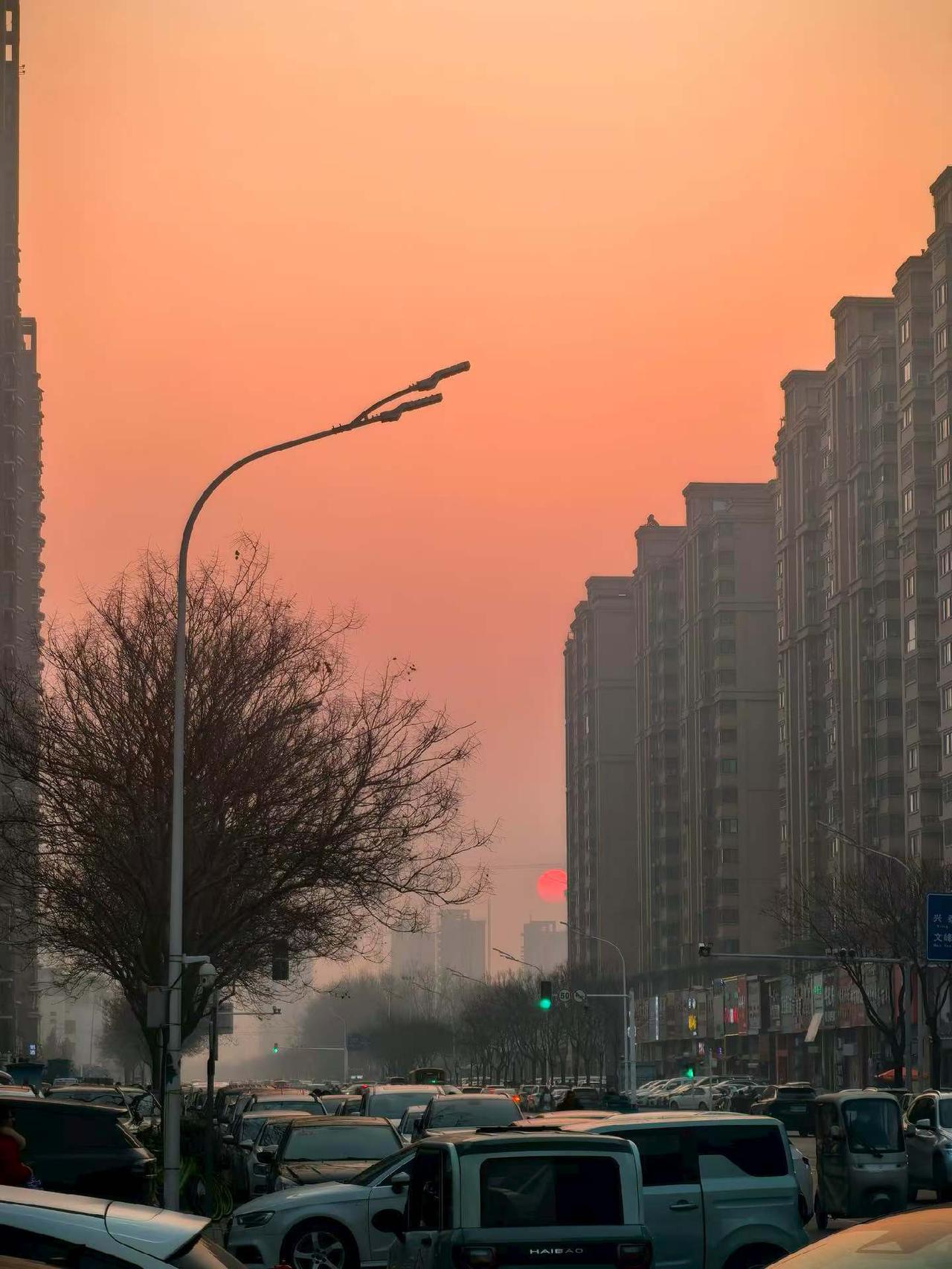 天南地北大拜年