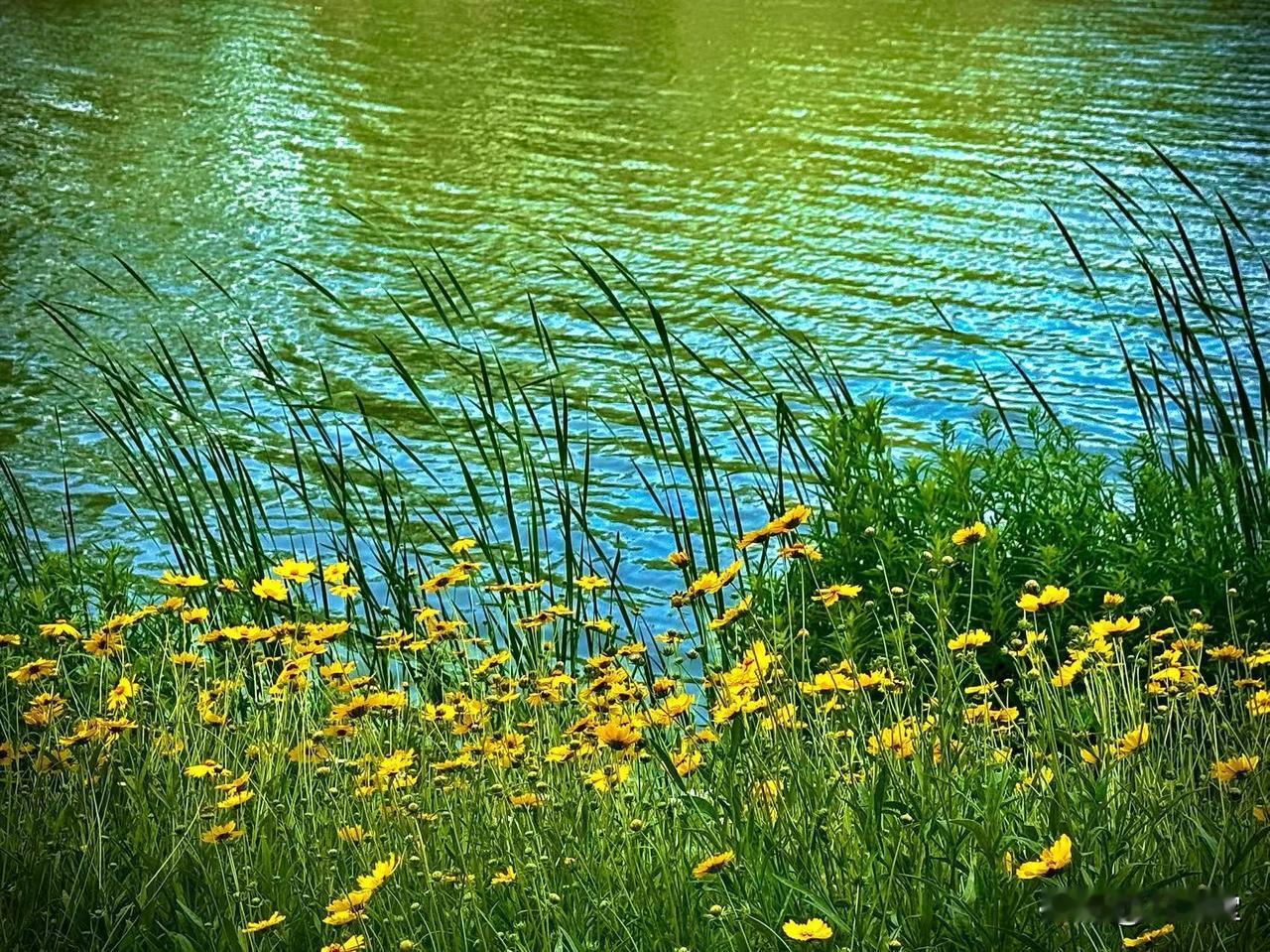 动人的瞬间
        （原创）


一场风尚未走远
花香还在波浪里翻卷
夏