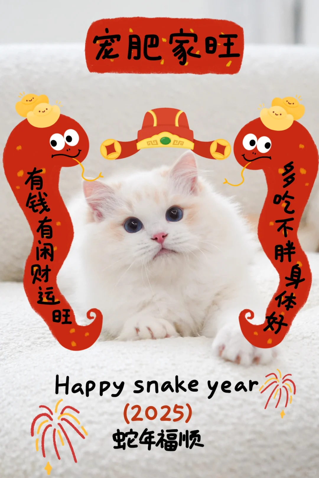 小猫咪祝大家新年快乐