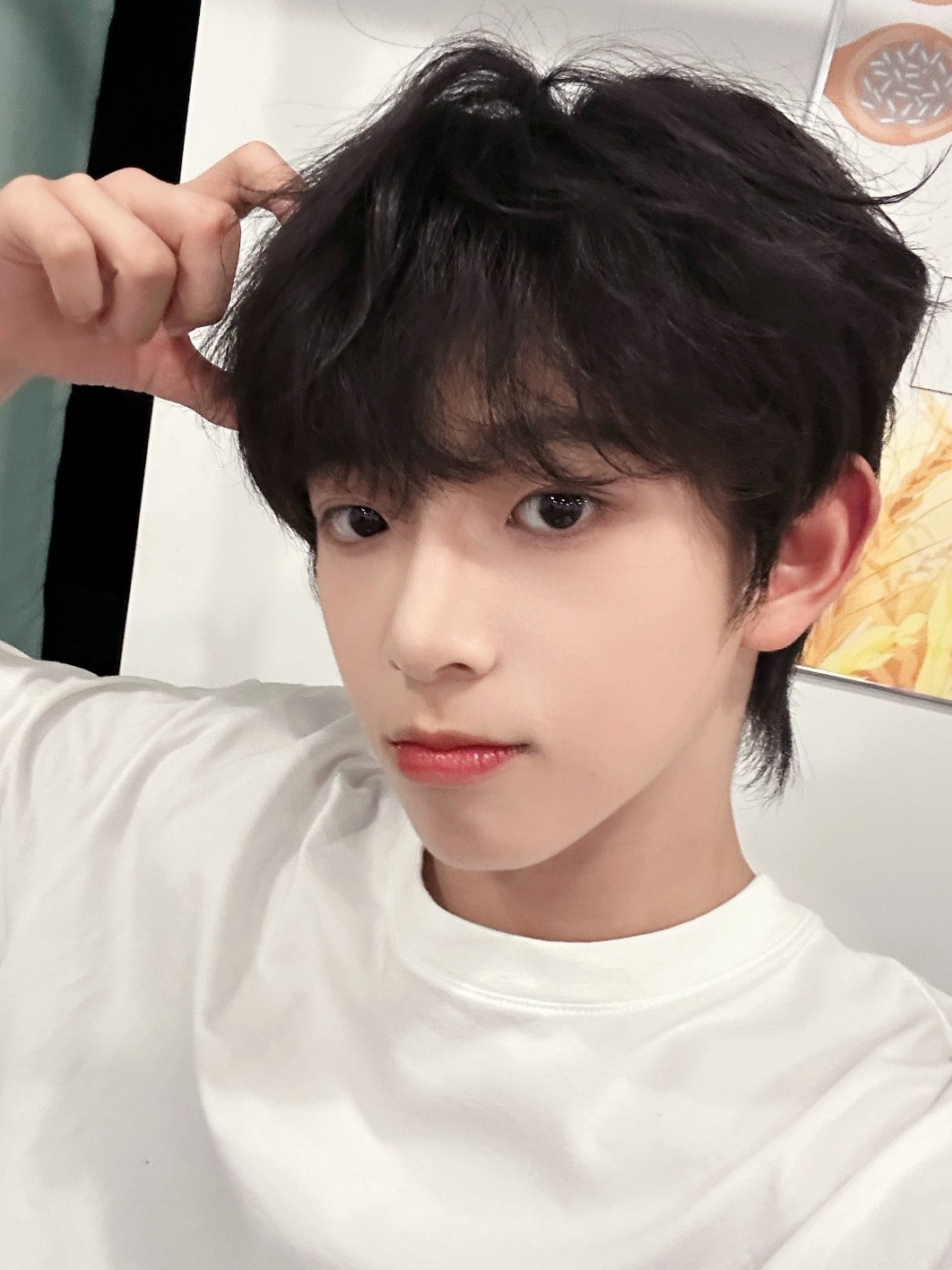 杨博文和陈浚铭互相安利中 发生了什么 