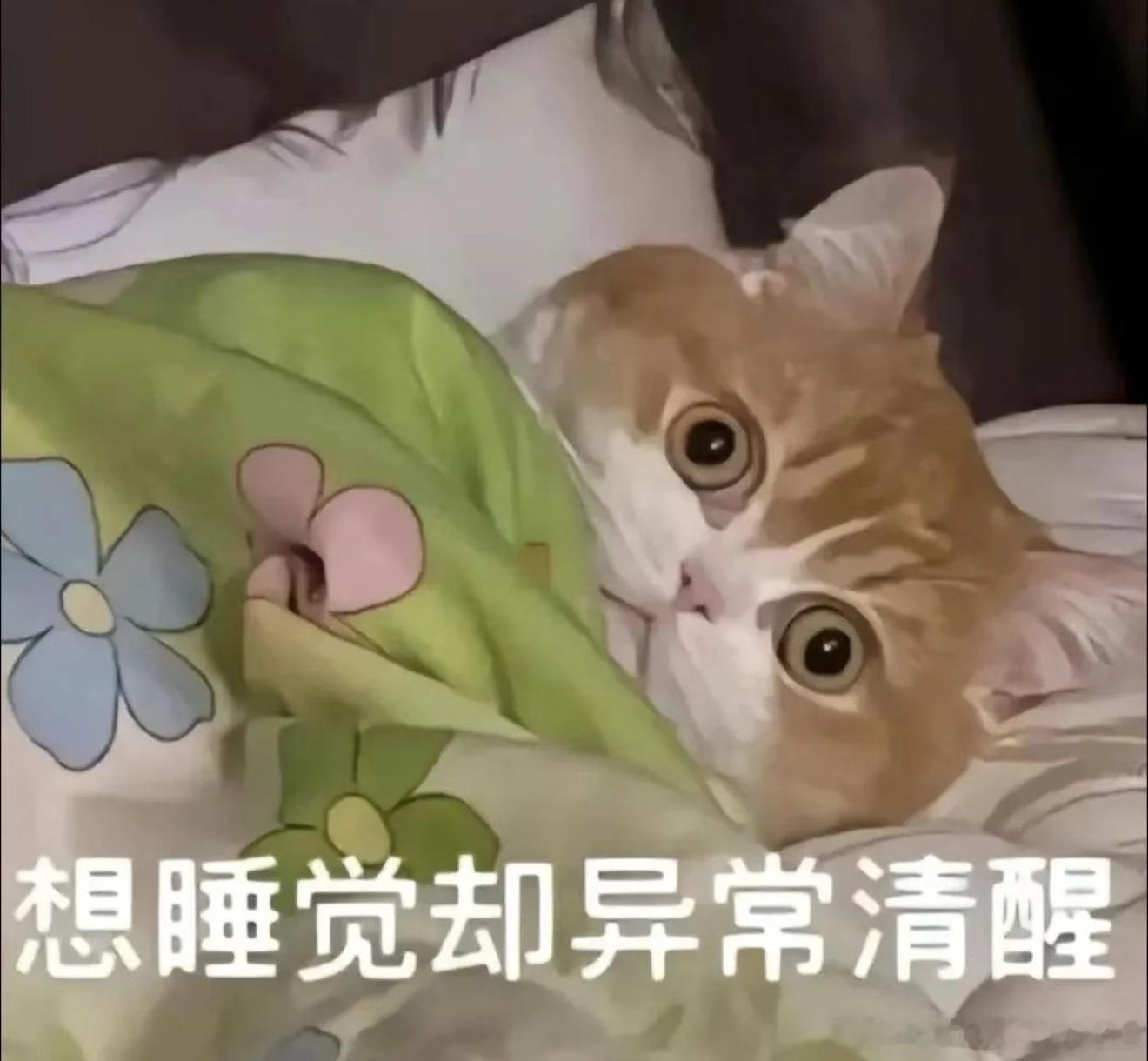 一个爱侧睡的人轻轻的碎了没办法，比起来还是能拥有一个安稳的睡眠更重要。睡眠障碍用
