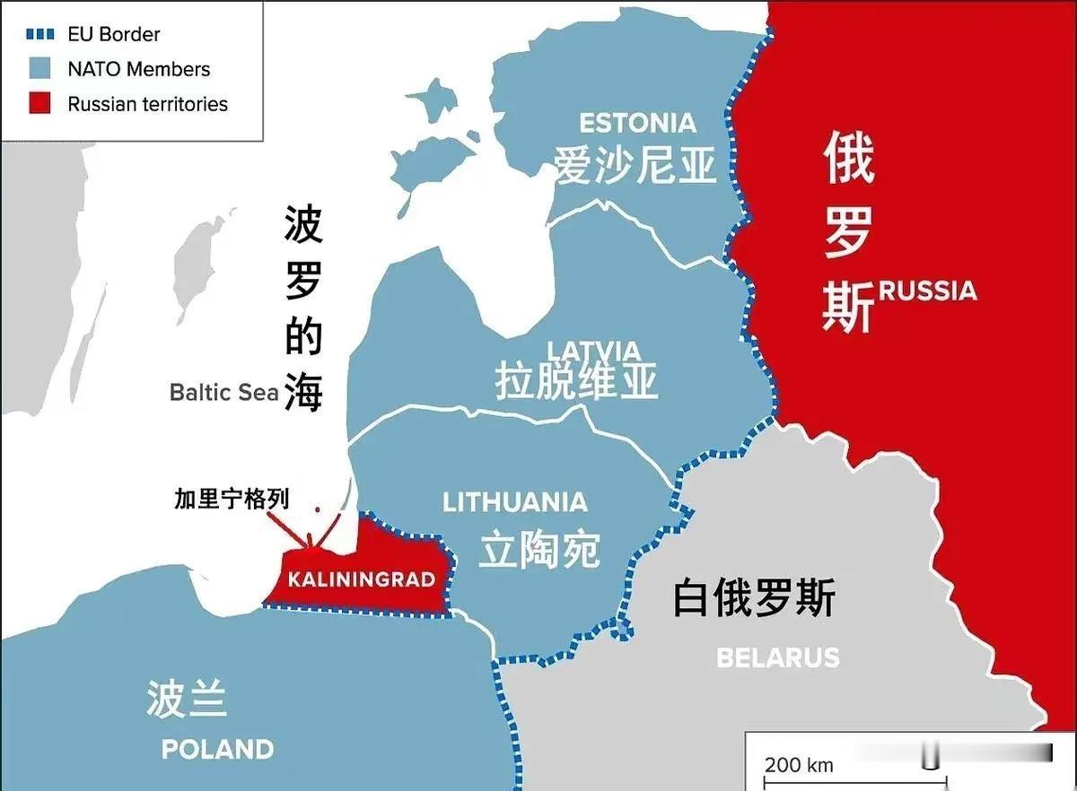 局势彻底紧张了！

俄罗斯飞地加里宁格勒被架在了地缘博弈的火上烤——北约公然抛出