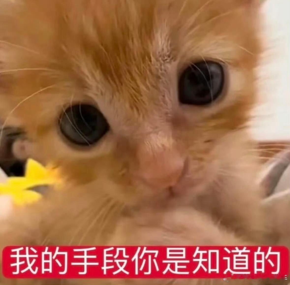 kda？顺手的事
