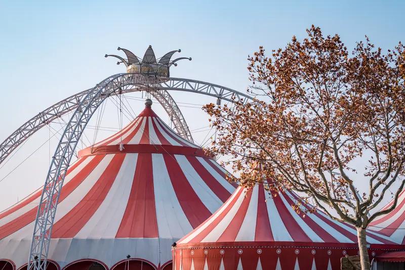 上海多区街头突然冒出马戏团，这背后全是套路！近期全国多地都有类似情况，小货车拉着
