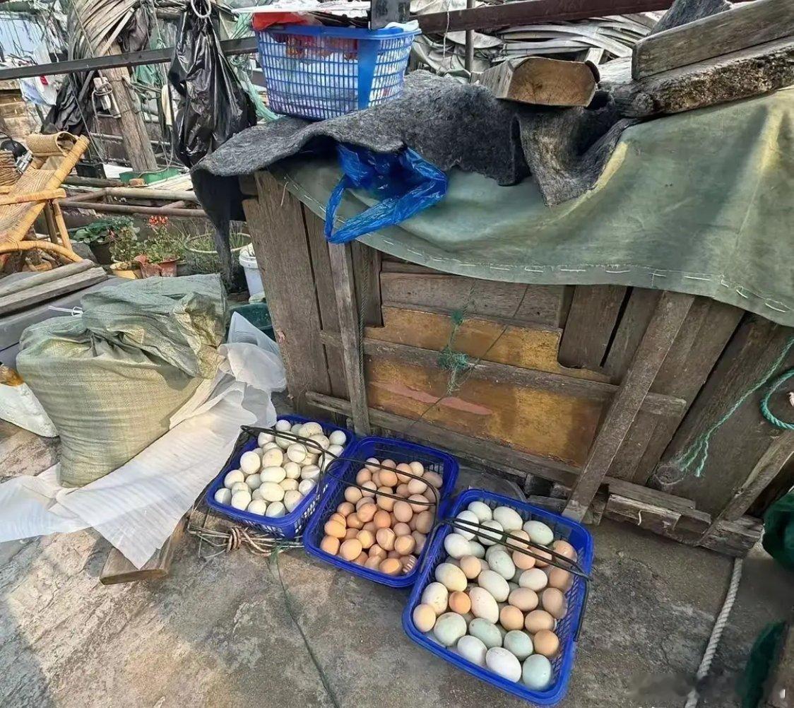 孙俪在片场拍戏时遇到农户，直接出手阔绰买下三筐鸡蛋鸭蛋，照片里的画面接地气到不行