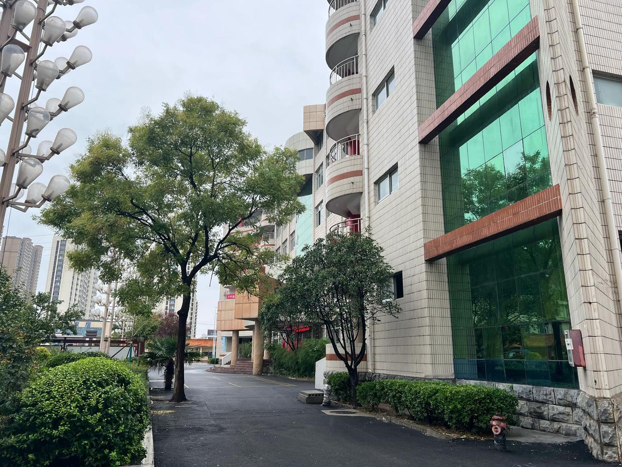 这个学期以来，班级实行了站立早读，我认为这种模式很好。
每天早上，学生一到教室，