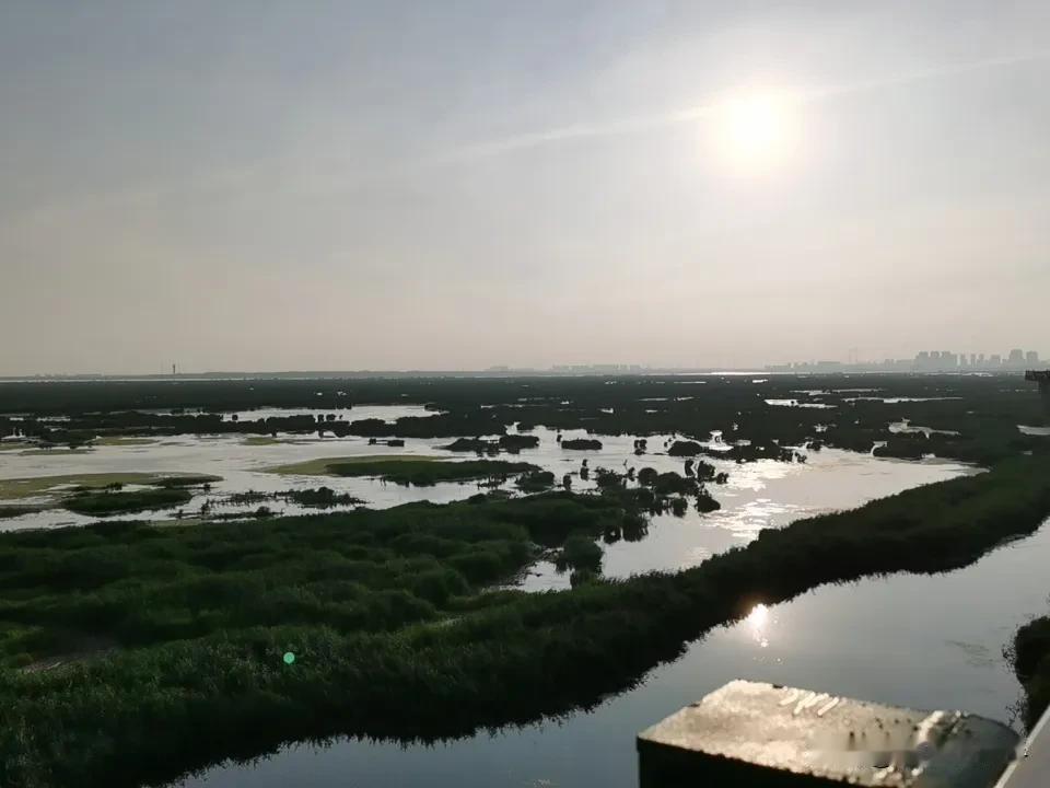 东北的七月，风那么凉爽，气候那么怡人。