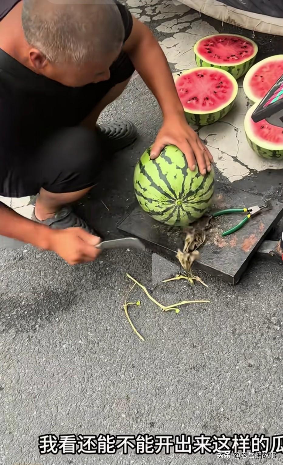 卖瓜的也没底气了！
一位街头卖瓜的给一个买瓜的挑了一个瓜，买瓜的问:“瓜熟不熟？