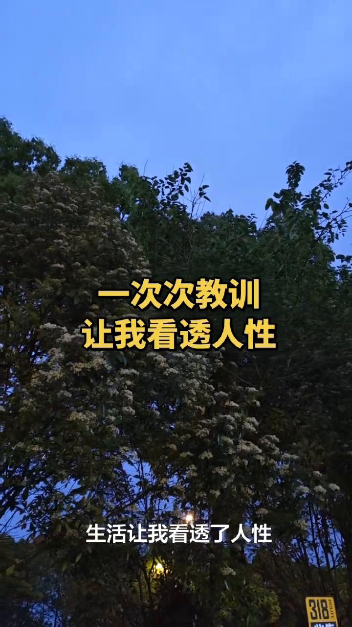 一次次教训让我看透人性。
曾经的我比谁都善良，比谁都真诚，比谁都心软。生活让我看