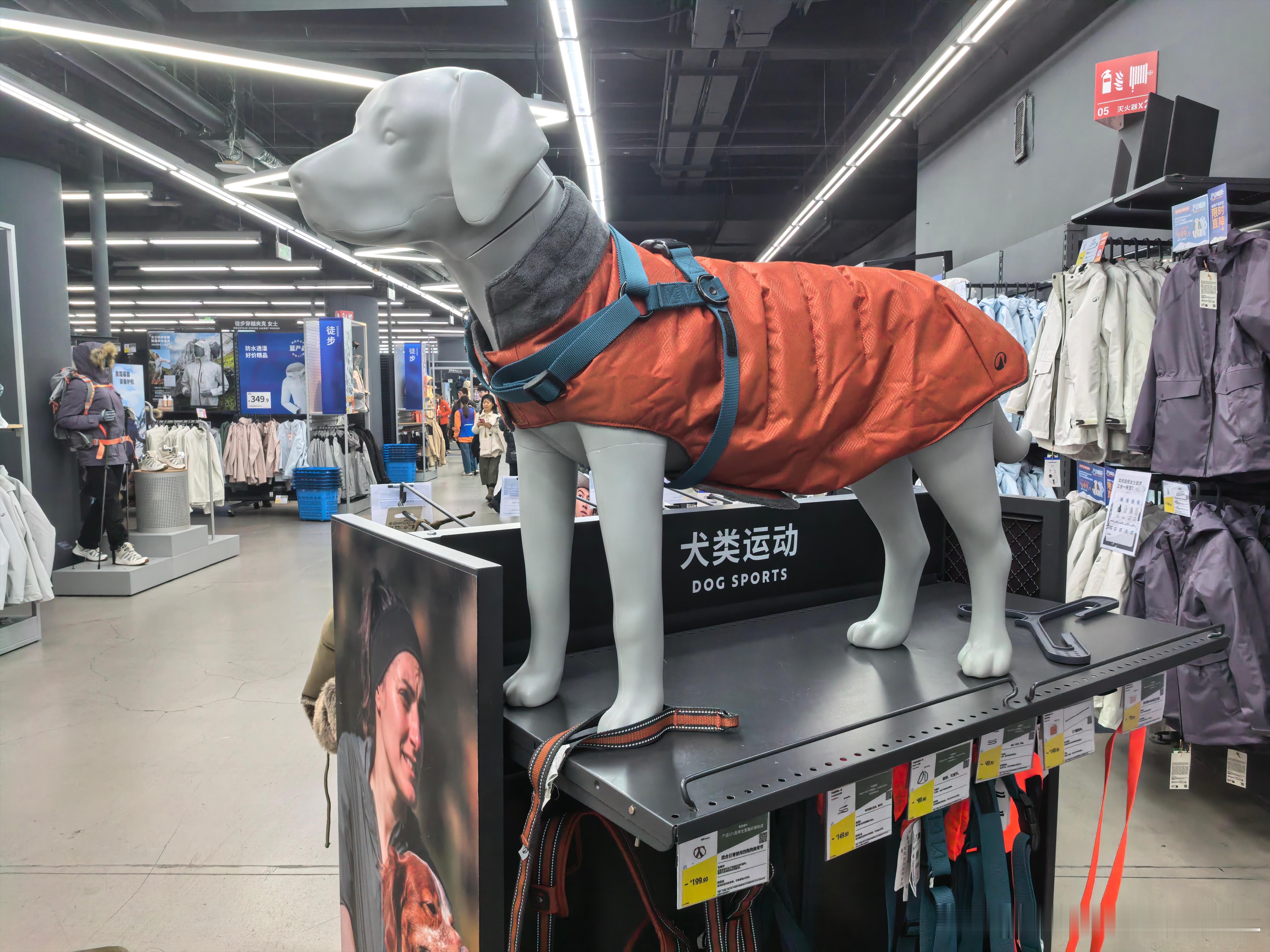 迪卡侬这个小嘎帽