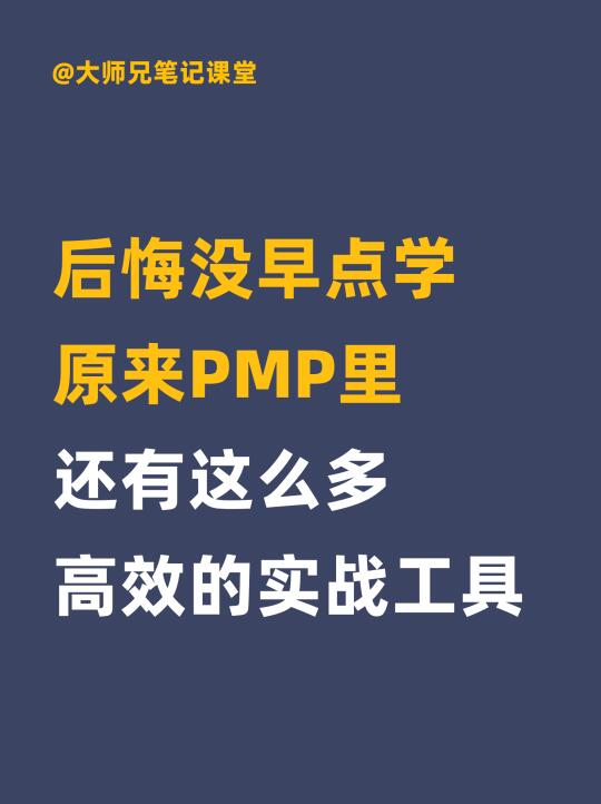 原来PMP里还有这么多高效的实战工具模版！