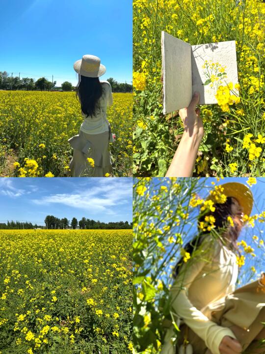 北京countrywalk！油菜花田骑马拍照新体验🐎