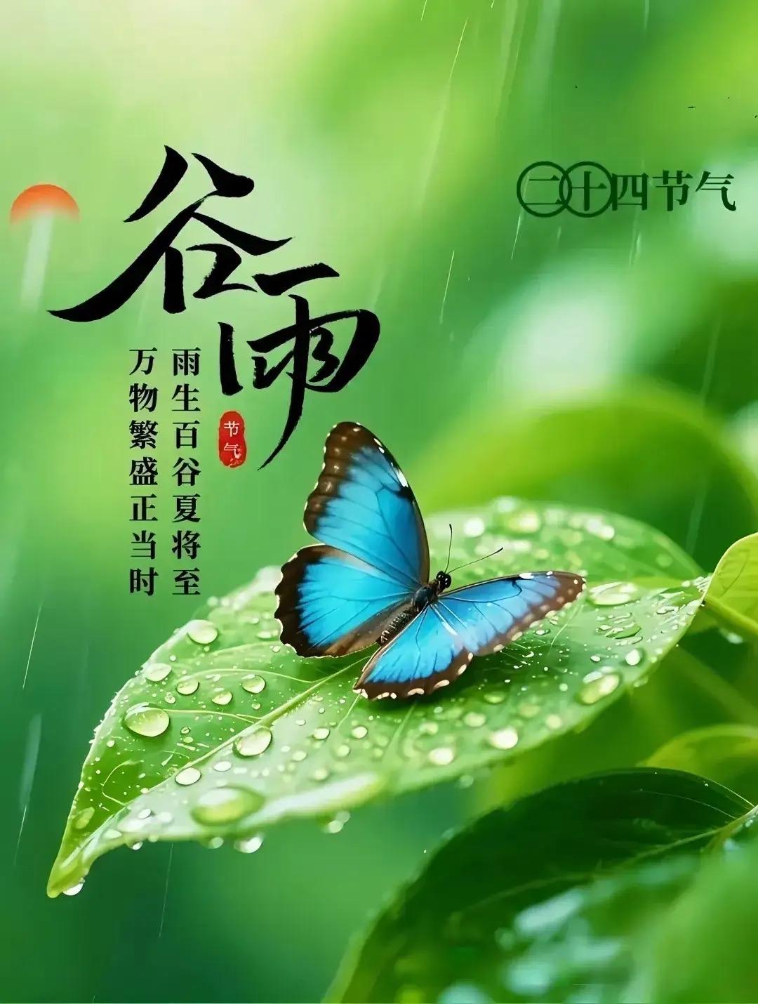雨润百谷，春满人间。谷雨时节，愿好运与你相伴，健康与你相随，幸福与你相依。愿你日