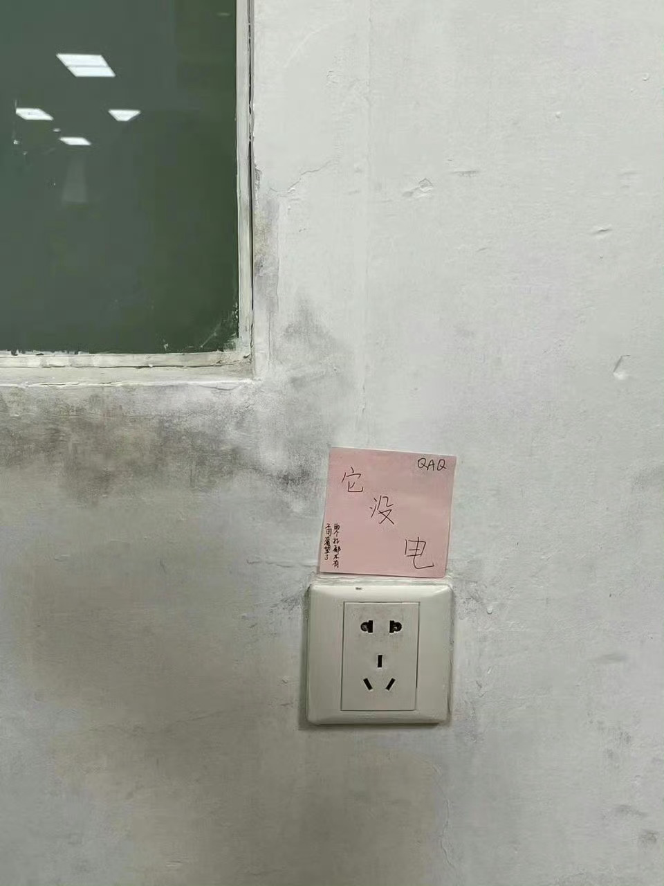 有趣的灵魂在图书馆扎堆 