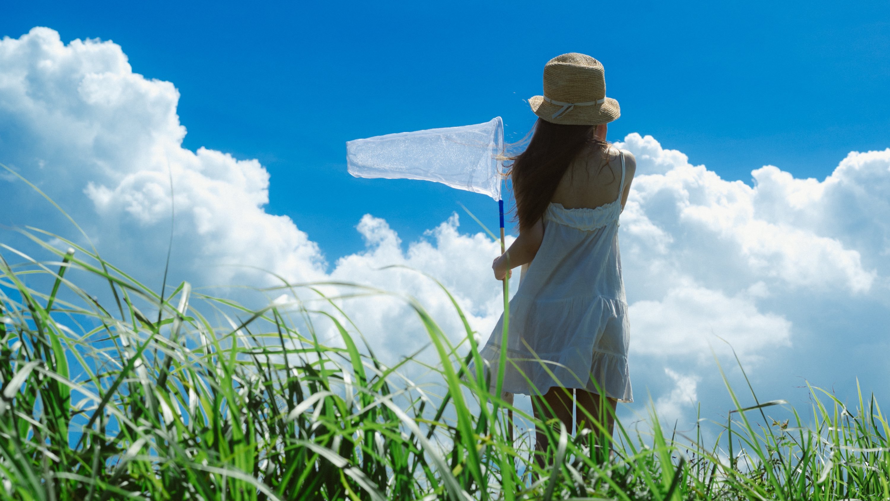 夏天的冒险（图源：x.com