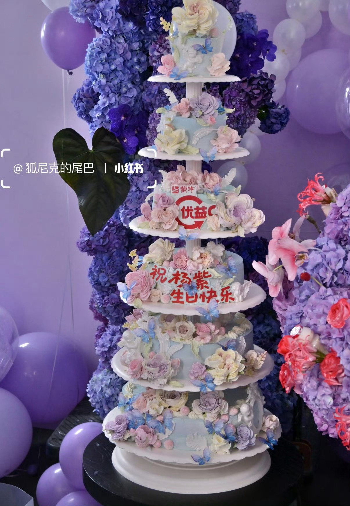 优益c给杨紫送的超大花花和蛋糕[抱一抱] ​​​