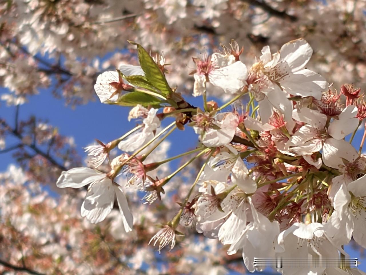 写了五篇小作文，三篇没通过审核，习惯手指一划删掉，现在不知道写啥内容，我既不喜欢