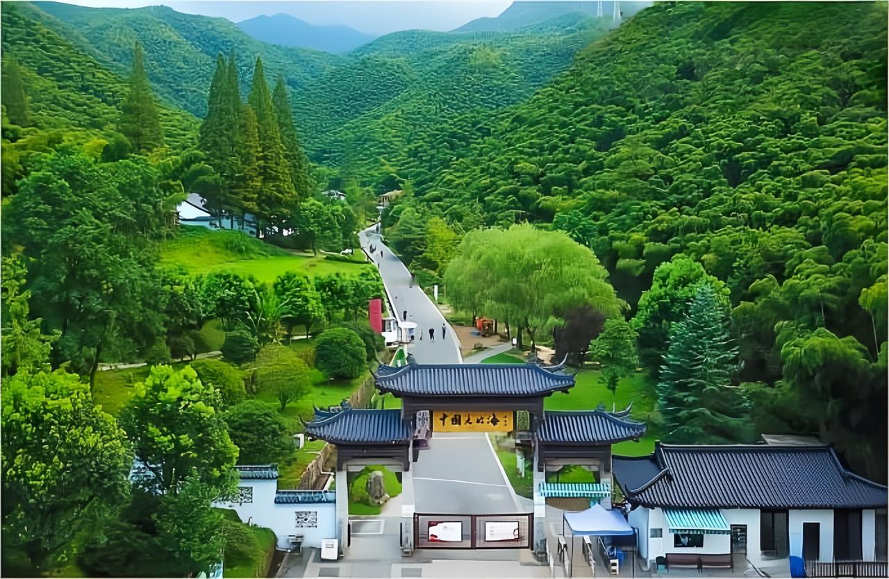 🌿清明来安吉踏青，就住在大竹海景区门口这家民宿，海拔600米，春天满山翠竹环绕