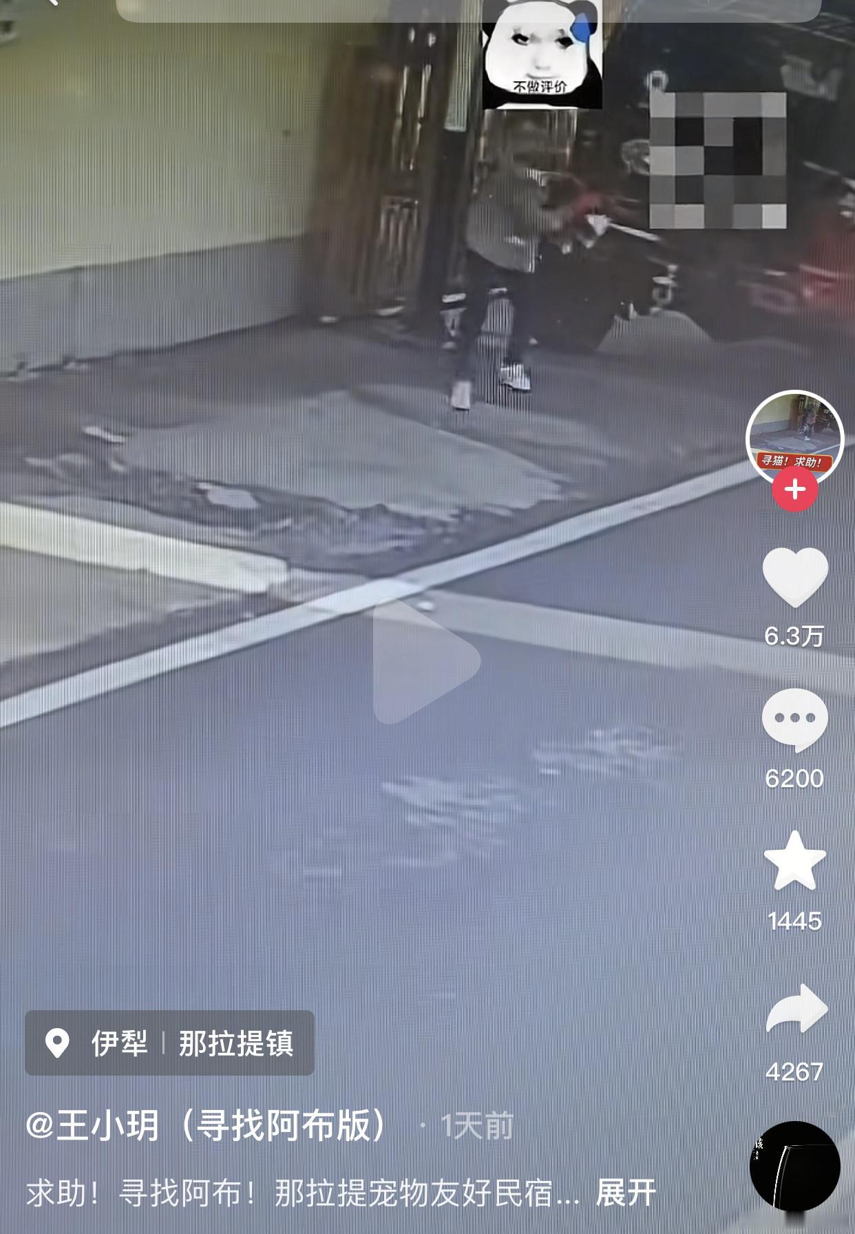儿子开宠物友好民宿，亲妈把顾客猫丢掉。
博主王小玥带着养了8年的猫阿布自驾去那拉