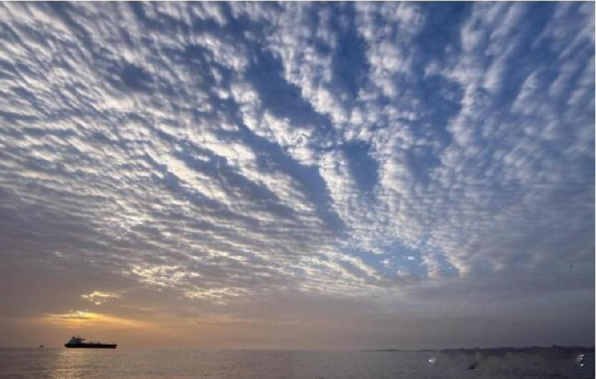 塔斯尼姆报道，两名外国人因进口 Starlink 技术在伊朗被捕。
路透迪拜 4