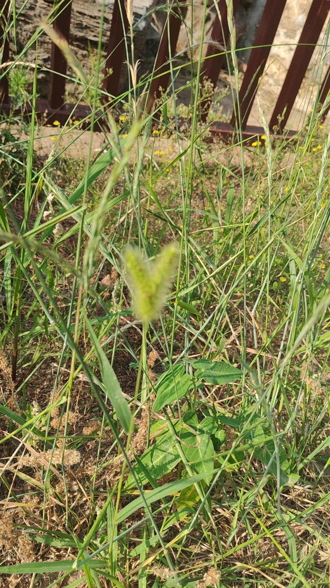 一个扎心的事实。
儿子有钱和女儿有钱，
父母的态度截然不同！