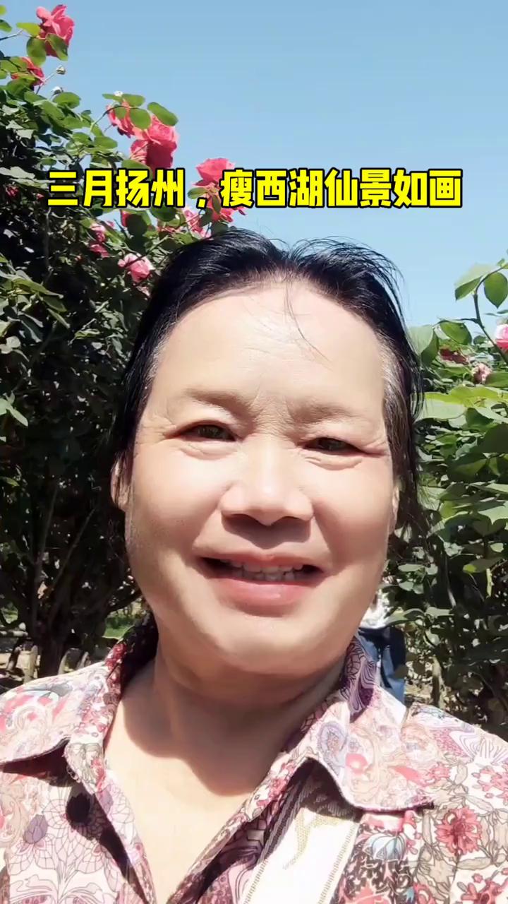 三月扬州，瘦西湖仙景如画。
朋友们，大家好，我是陈国新。烟花三月下扬州，二零二六