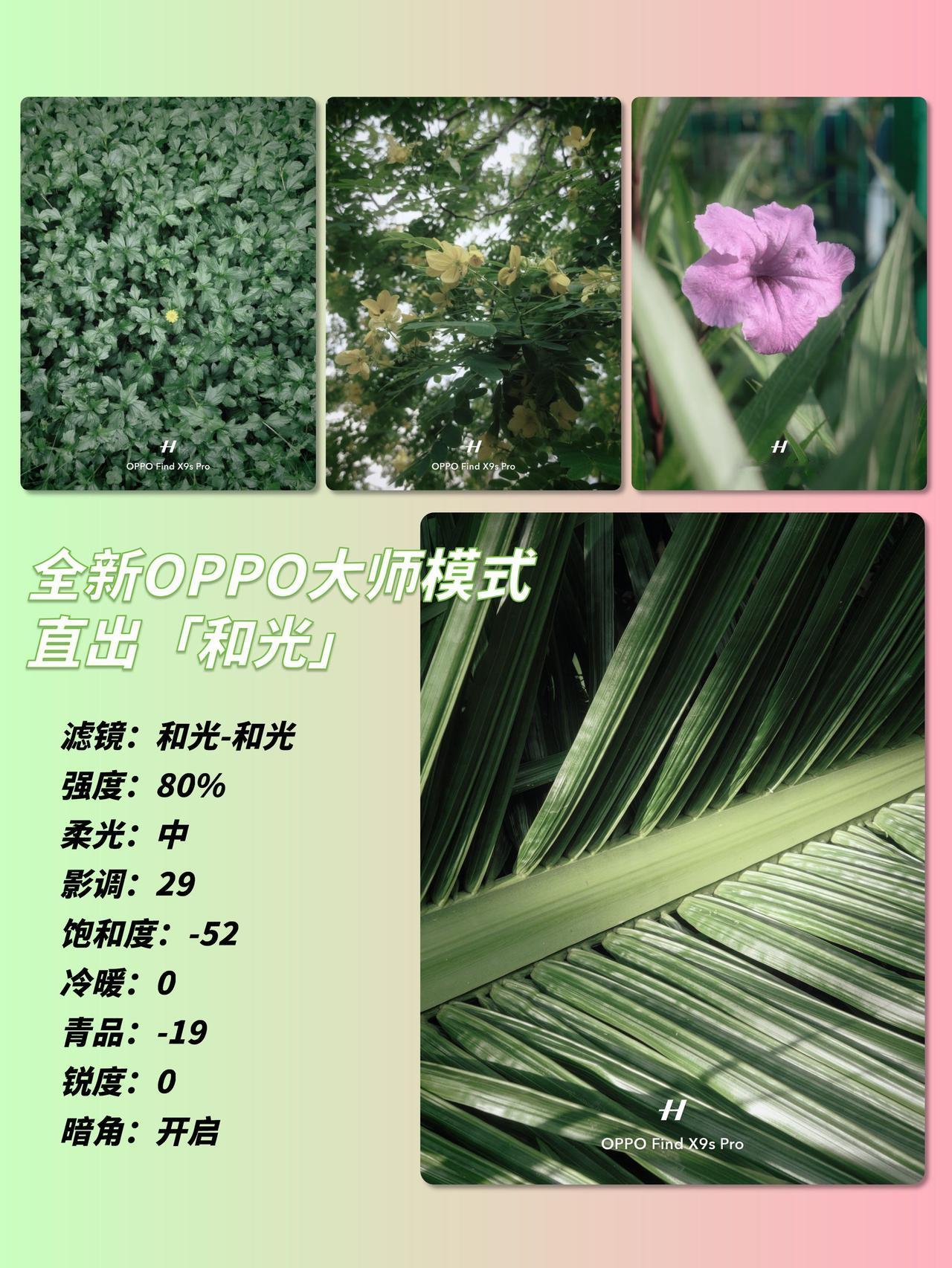 五一换新机📱Find X9s Pro踏青直出胶片分享

五一前纠结好久终于换手